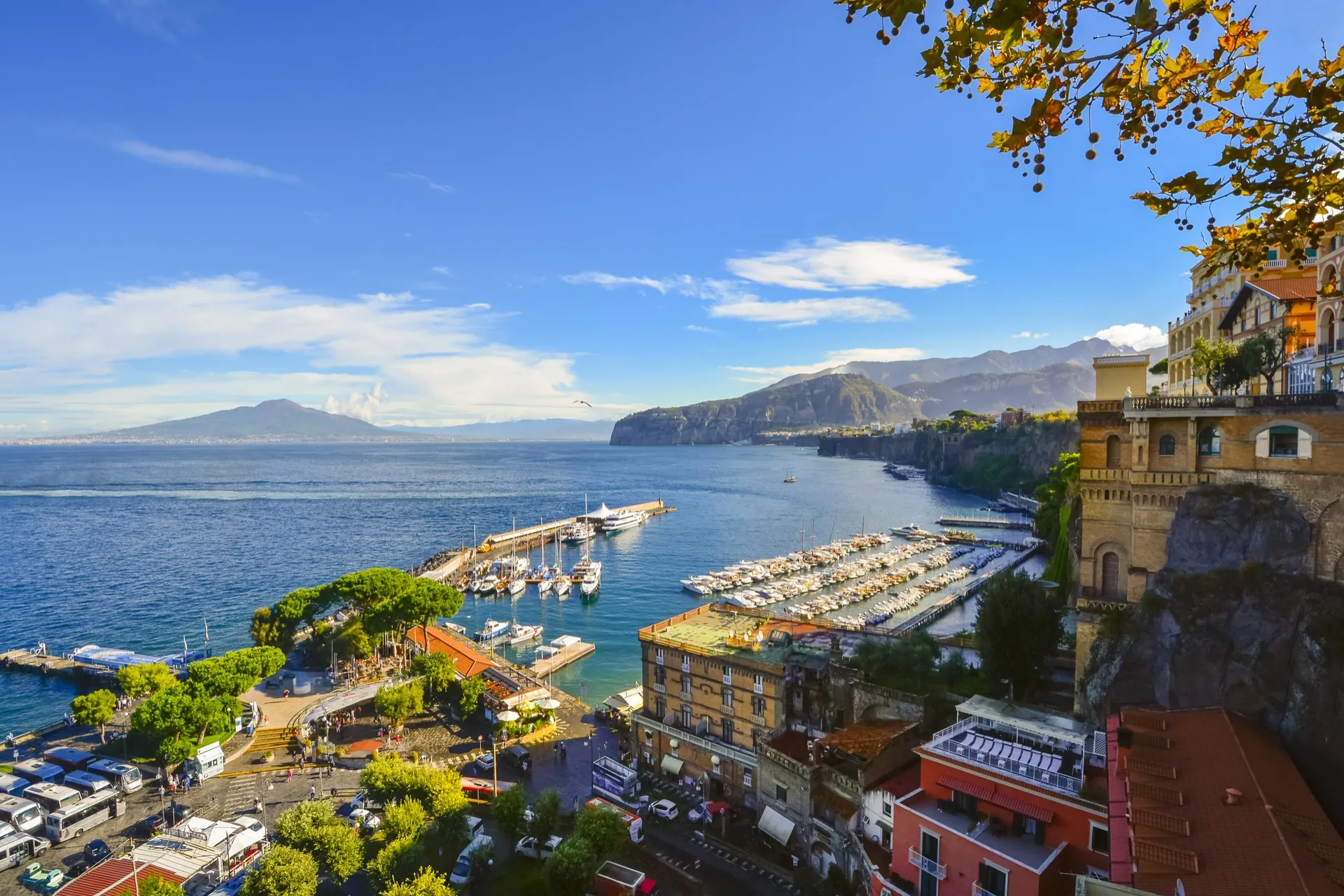 Profile picture of Sorrento First Choice