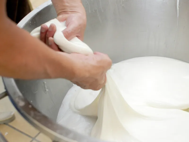 Paestum & Buffalo Mozzarella Experience-9