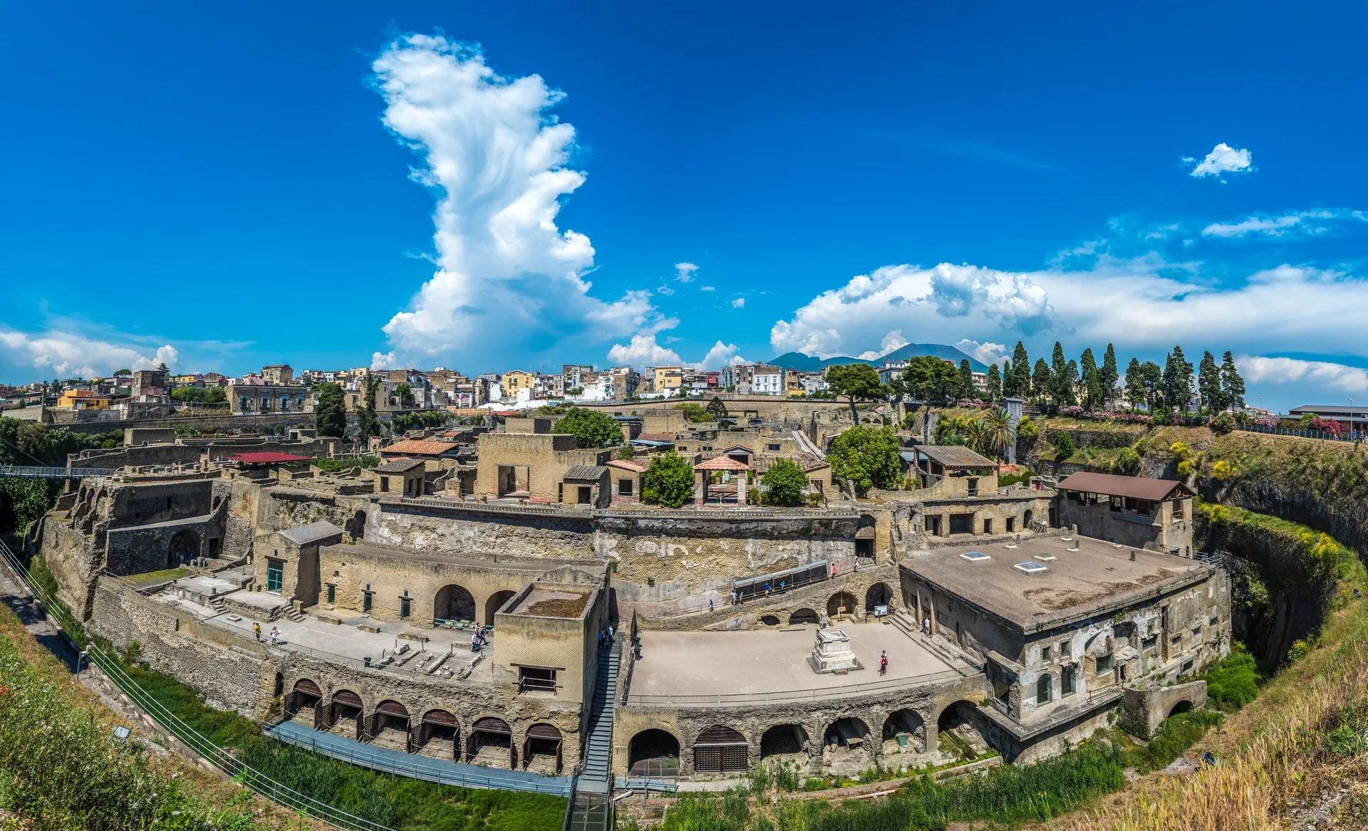 Profile picture of Sorrento First Choice