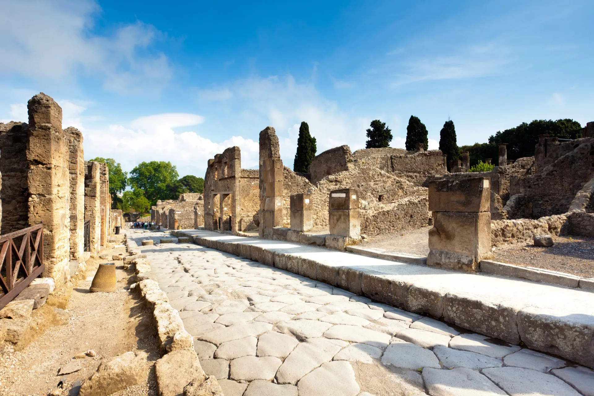 Profile picture of Sorrento First Choice
