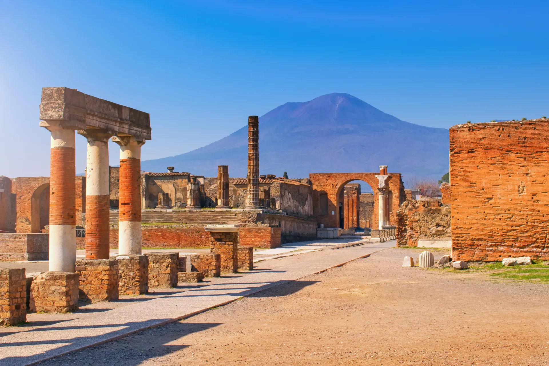 Profile picture of Sorrento First Choice