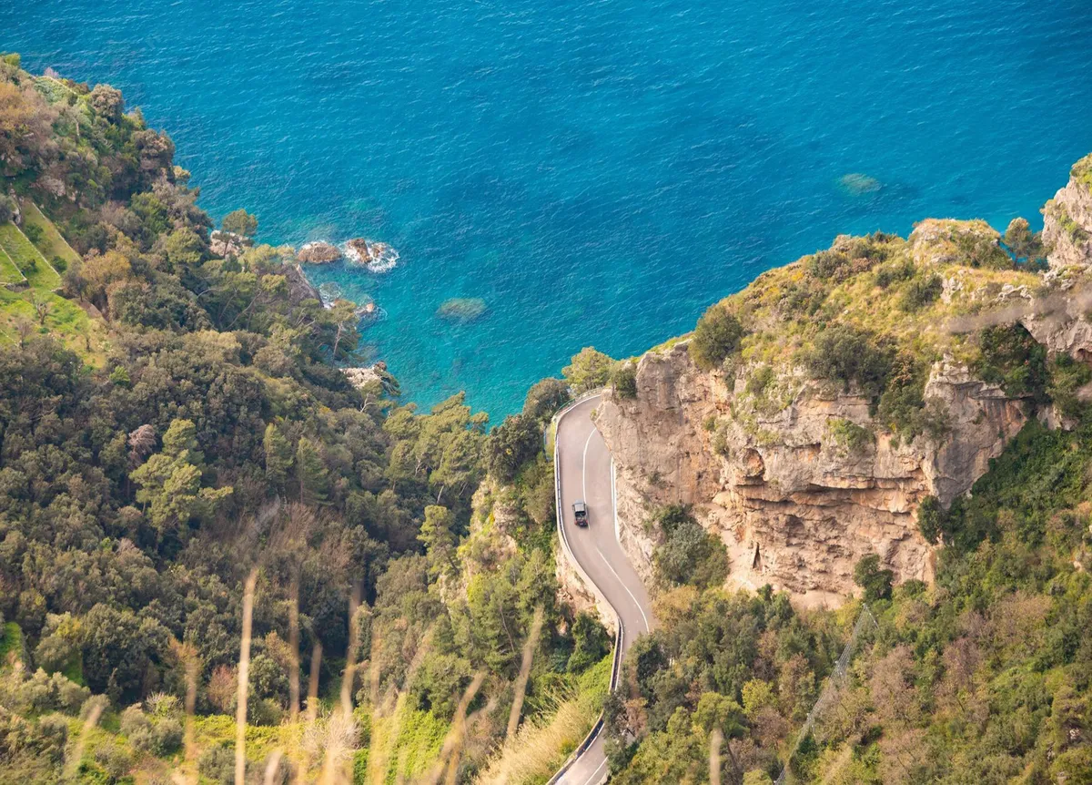 Image of Sorrento First Choice